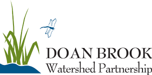 Doan Brook Watershed Partnership
