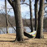 Person in a hammock between two trees near Lower Lake.