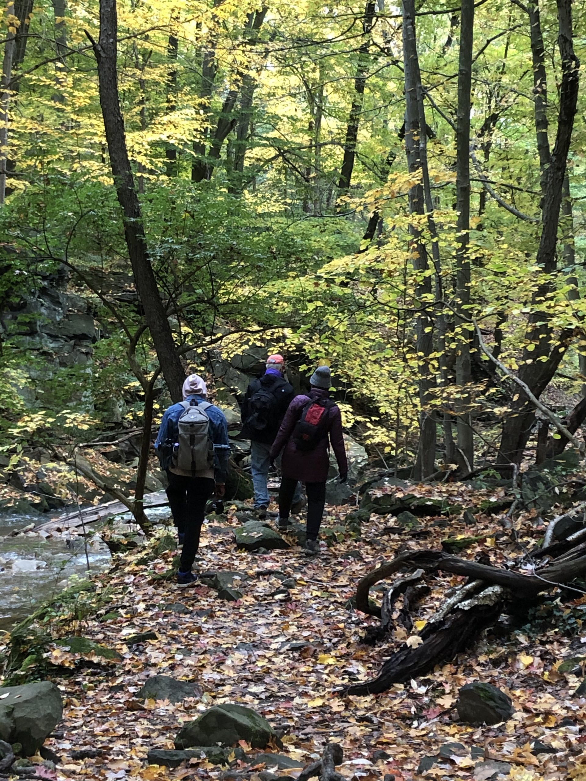 Hikers walk along the Doan Brook gorge for the 2020 Photo Hike.