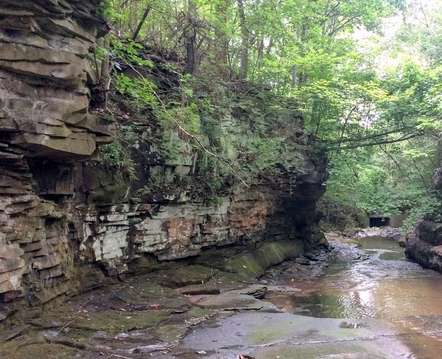 Nine Mile Creek gulch, Denison Park