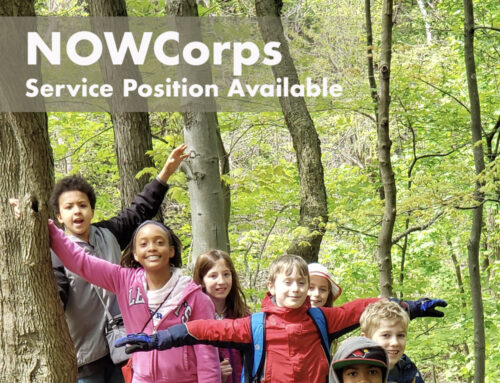 NOWCorps Service Positions